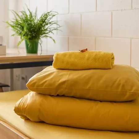 Auberge de jeunesse Academic *